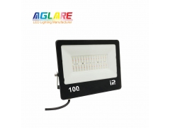 RGB Color - 100W RGBW LED Color Changing Outdoor Lights