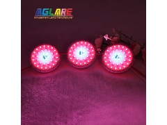 2PIN Auto Amusement Lights - New 100mm Cabochon light 36LEDs AC24V Turbo Light for Amusement ride lighting