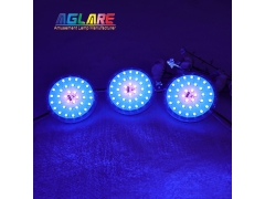 2PIN Auto Amusement Lights - New 100mm Cabochon light 36LEDs AC24V Turbo Light for Amusement ride lighting